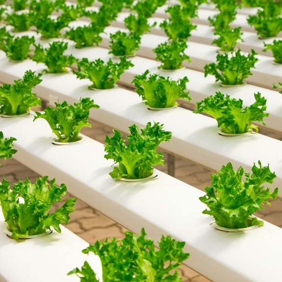 Kenapa ISO 22000 Semakin Dibutuhkan Perusahaan Makanan dan Minuman di 2025?